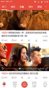 爆料剧情视频下载安装最新,爆料视频背后的秘密与惊喜  第2张