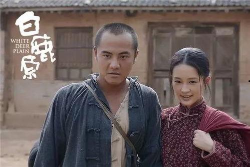 连续剧白鹿原在线观看,穿越百年风云，探寻家族兴衰之谜  第2张