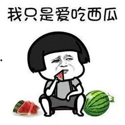 娱乐吃瓜酱梗是什么意思,网络热词背后的趣味与内涵  第2张