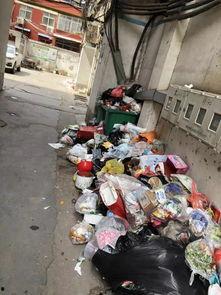 鲁山今日爆料最新消息,揭秘神秘事件真相！  第1张