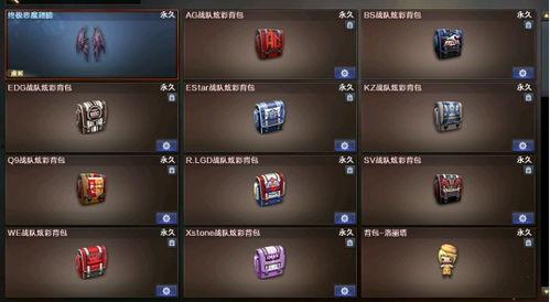 cs2战队最新爆料视频,揭秘战队神秘训练与精彩对决